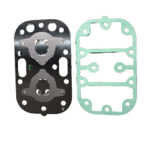 F5-Valve plate with gasket