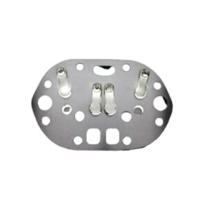 Valve plate complete 4N