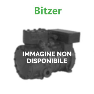 Bitzer Ecoline 4FE 25Y