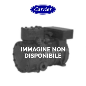 Carrier 06VR308A