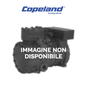 DWM Copeland 2CC75